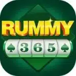 Rummy 365 app icon placeholder