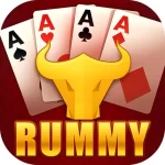 Rummy Bharat Android app icon